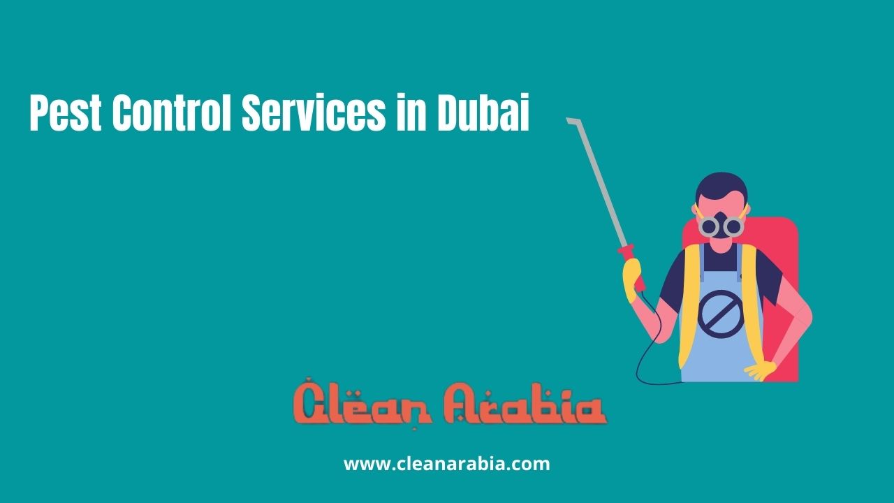 image result for "pest control services in Dubai"
