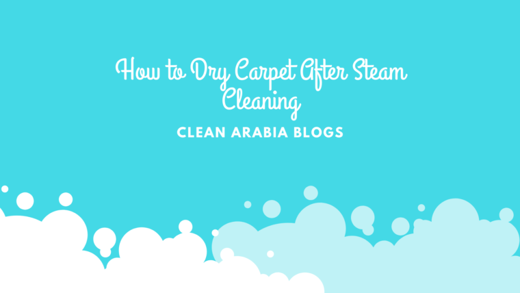 How to Dry Carpet After Steam Cleaning Like a Pro?(5minitue Guide)